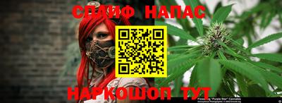 альфа пвп Заводоуковск