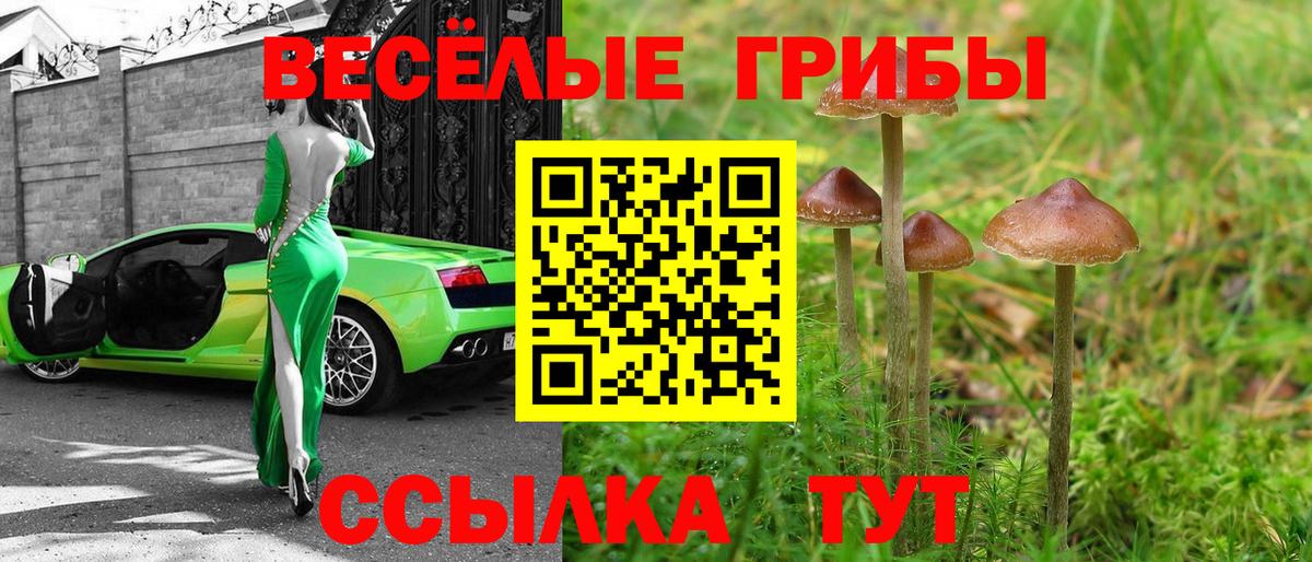 Мариинск  Псилоцибиновые грибы Cubensis  наркота  Вход с VPN 