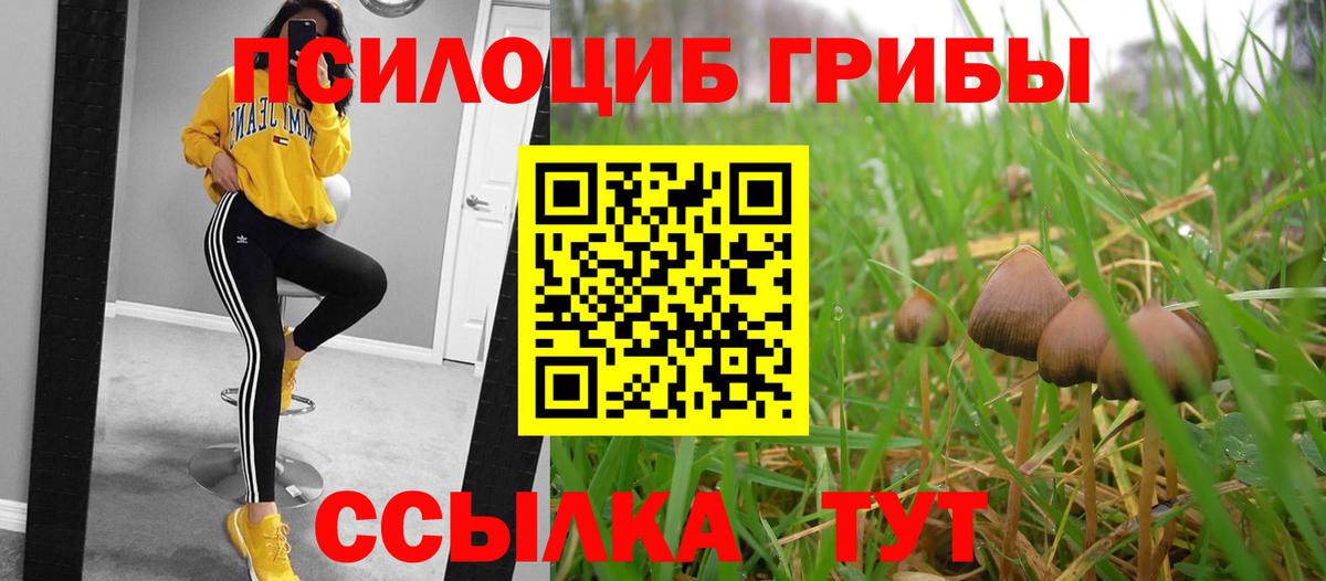 Псилоцибиновые грибы Magic Shrooms Мариинск